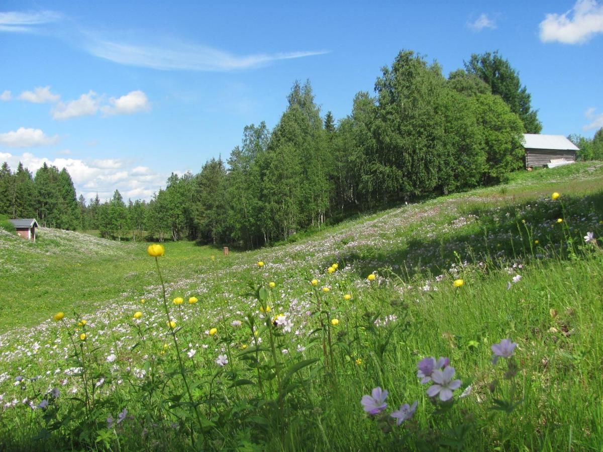 Загородные дома Kieringin Lomakylä Kierinki-32