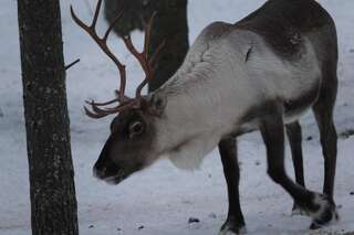 Загородные дома Kieringin Lomakylä Kierinki-3